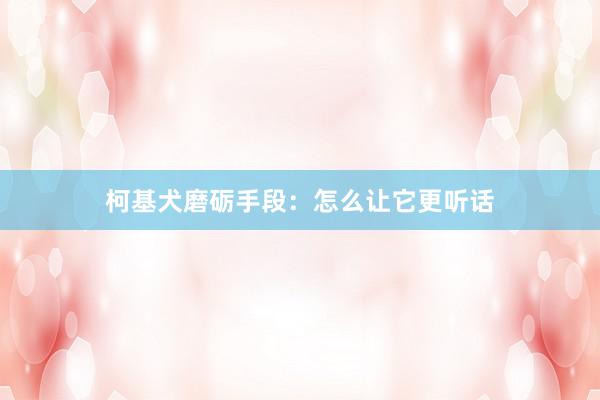 柯基犬磨砺手段：怎么让它更听话