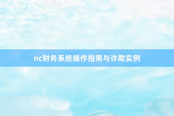 nc财务系统操作指南与诈欺实例