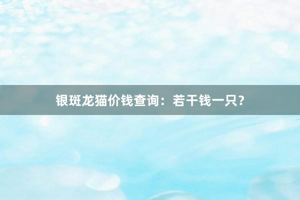 银斑龙猫价钱查询：若干钱一只？